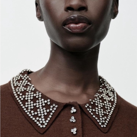 NWT Zara Brown Sweater with Embellished Collar - Picture 2 of 7
